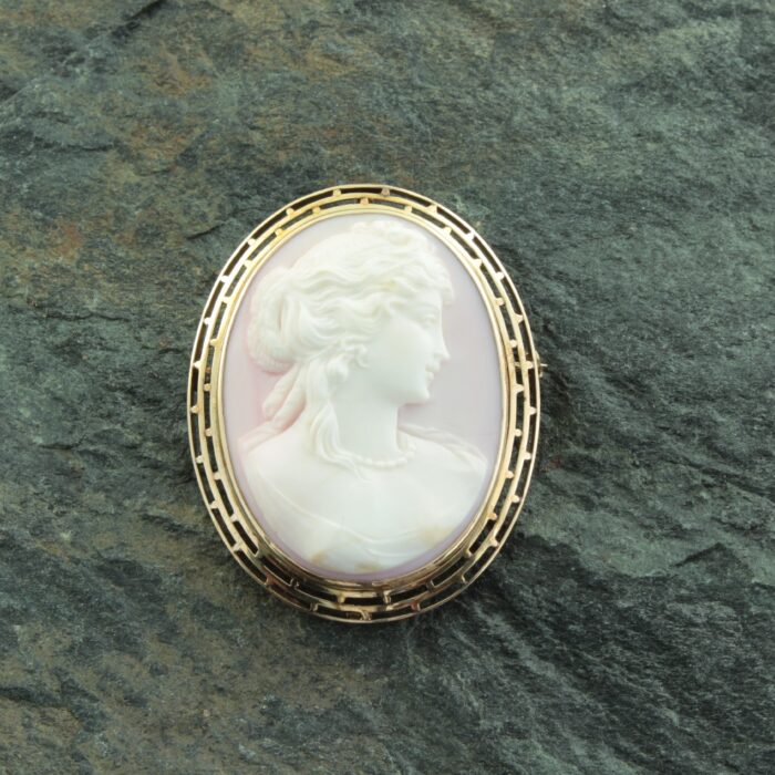 Pink and White Conch Shell Cameo Brooch